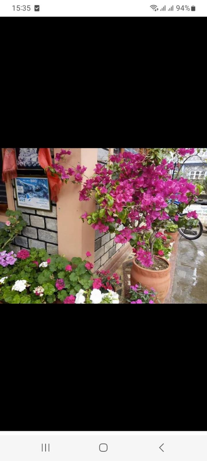 Galaxy Inn Guest House โพคารา ภายนอก รูปภาพ